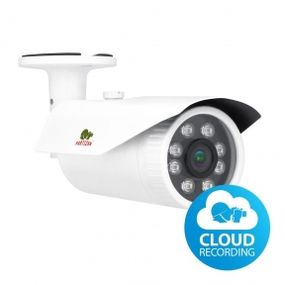 Видеокамера IP Partizan IPO-VF2MP SE 2.3 Cloud 3.0MP Варифокальная