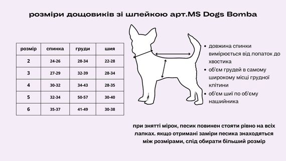Дощовик з шлеей Париж MS-11 | Зображення 4