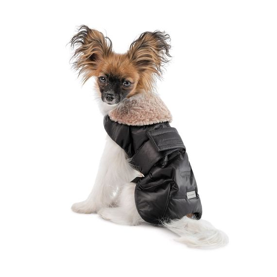 Попона Pet Fashion Ted для собак чорний/сірий XS2 | Зображення 1