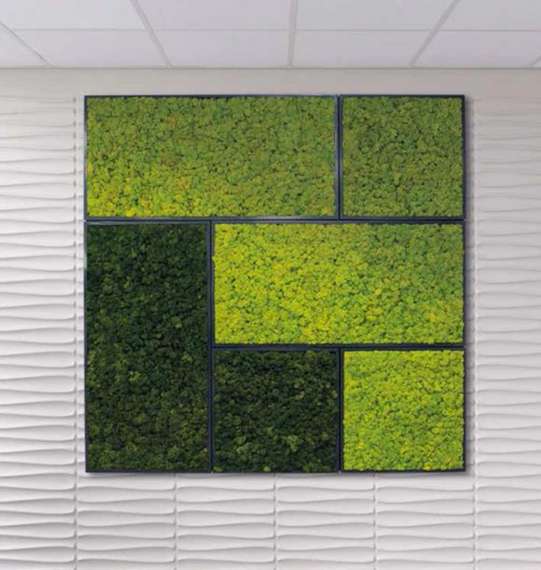 Очищенный стабилизированный мох ягель Nordic moss Зеленый светлый 0,5 кг | Зображення 4