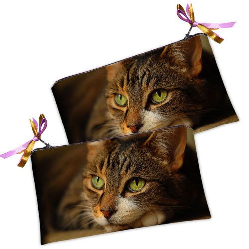 Косметичка жіноча Грустный котик 20х12 см (K_LK045)