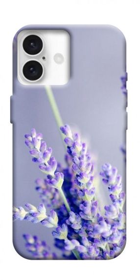 Чохол з картинкою Лаванда для Apple iPhone 16 Plus