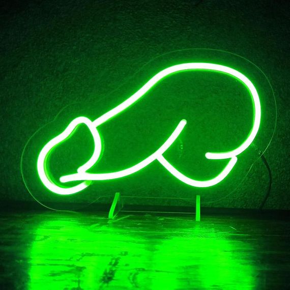 Неоновый светильник Пенис 280х170 acr-n000017 | Зображення 7