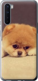 Чехол на OnePlus Nord Boo 2 "890u-2046-17620"