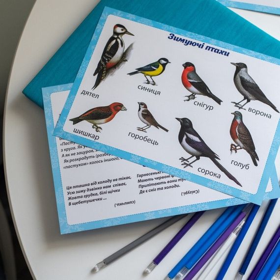 Дидактический материал "Зимние наблюдения" 13107147, 16 карточек | Зображення 6