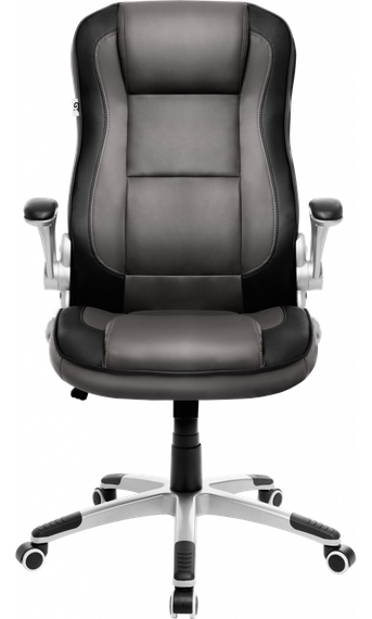 Кресло геймерское GT Racer B-2555 Gray | Зображення 1