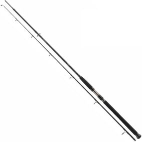 Спиннинг Daiwa Exceler Catfish Spin 2.40m max 185g