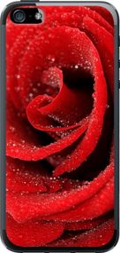 Чехол на iPhone 5 Красная роза "529u-18-17620"