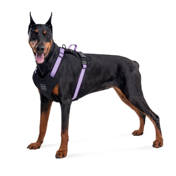Шлея для собак безопасная WAUDOG Nylon c QR паспортом, металлическая пряжка-фастекс, S, Ш 20 мм, А 35-60 см, В 55-65 см фиолетовый | Зображення 3