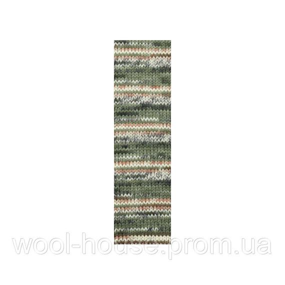 Шкарпеткова пряжа Alize Artisan Superwash, 9014 | Зображення 1