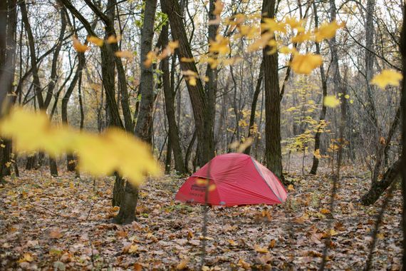 Намет Tramp Cloud 3 Si TRT-094-red червоний | Зображення 6