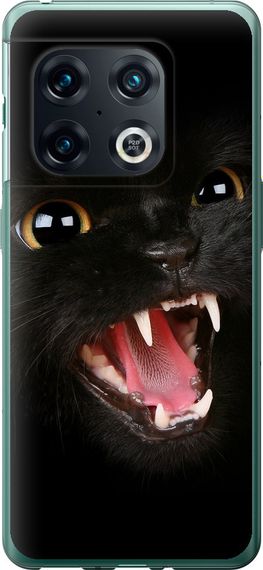 Чехол на OnePlus 10 Pro Чёрная кошка "932u-2588-17620"