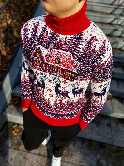 Мужской новогодний свитер Олени домик PA0001 цвет красный, размер M