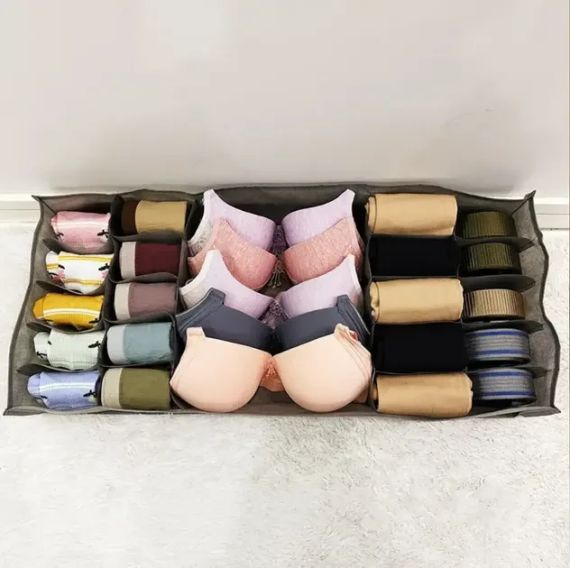 Органайзер для нижньої білизни Storage box LY-560 | Зображення 1