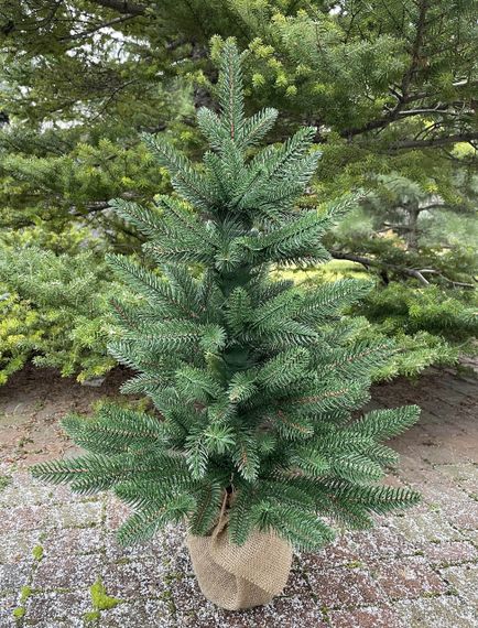 Ялинка Classic лита 70 см в мішковині зелена (нова)