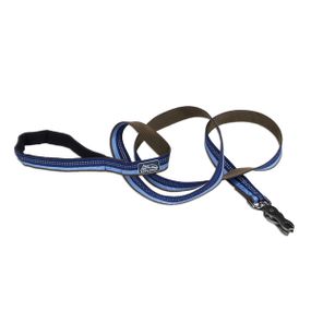 Повідець світловідбивний для собак Coastal K9 Explorer Leash, 1.8 м х 2.5 см, синій