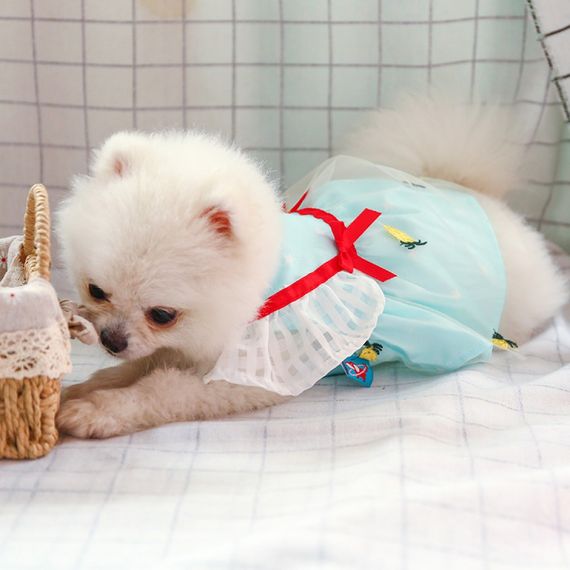 Платье для собак PetCircle "Ананасики" голубой | Зображення 4