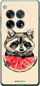 Чохол на OnePlus 12 5G Єнотик з кавуном "4605u-3615-2448"