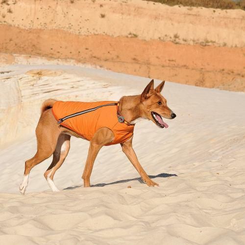 Жилет Pet Fashion «E.Vest» для собак, размер M2, оранжевый | Зображення 3