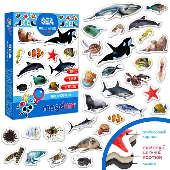 Дитячий набір магнітів Морські мешканці фото ML4031-28 EN | Зображення 2