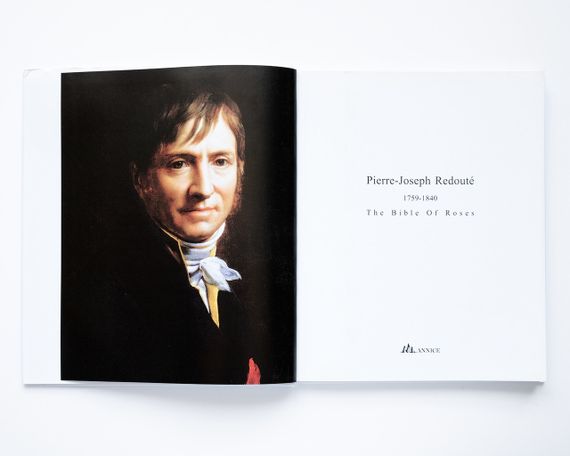 Великі художники П'єр-Жозеф Редуте. Redoute the bible of rose мистецтво живопис книги для художників | Зображення 1