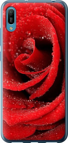 Чехол на Huawei Y6 2019 Красная роза "529u-1666-17620"