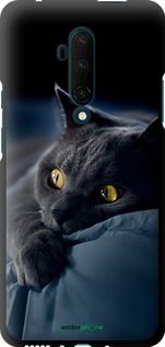 Чохол на OnePlus 7T Pro Димчастий кіт "825b-1810-2448"