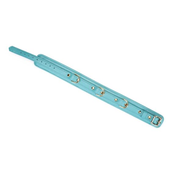 Нашийник з повідцем Liebe Seele Blue Lamb Leather Collar with Velvet Lining Sex Aura | Зображення 3