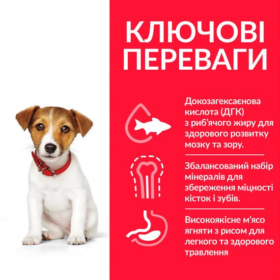 Корм Hill's Science Plan Puppy Small & Miniature Lamb & Rice сухой с ягненком для щенят малых пород 6 кг | Зображення 1