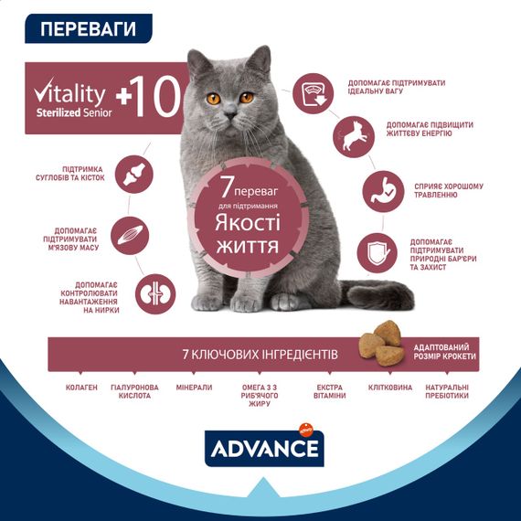 Сухий корм з куркою для стерилізованих літніх котів Advance Cat Senior Sterilized, 1.5 кг | Зображення 3