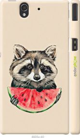 Чохол на Sony Xperia Z C6602 Єнотик з кавуном "4605m-40-2448"