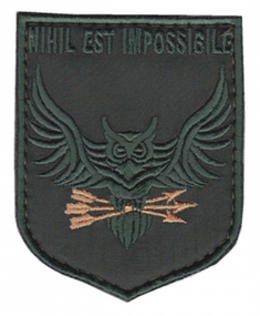 Шеврон 130 отдельный разведывательный батальон