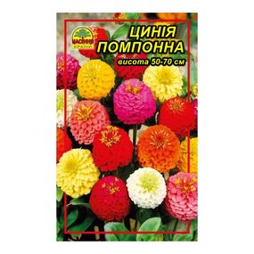 Насіння Цинія помпонна 0,5 г (Насіння країни)