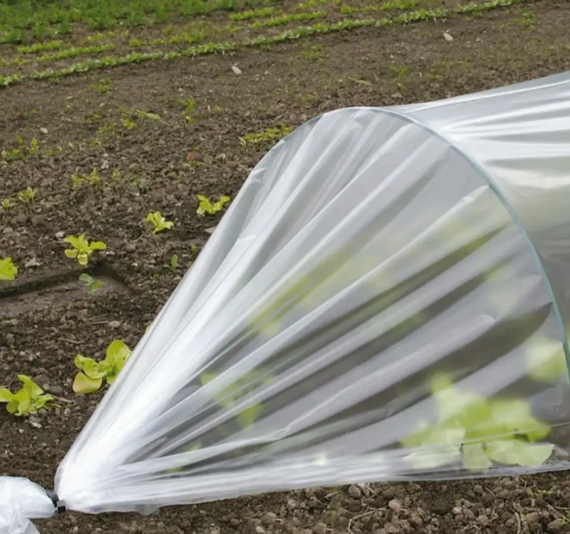 Плівка 80 мкм 6х50 м поліетиленова теплична біла UV stab | Зображення 2