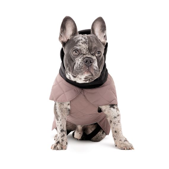 Попона Max М2 для собак | Зображення 2