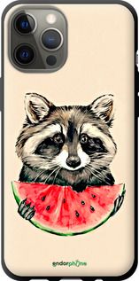 Чохол на iPhone 12 Pro Max Єнотик з кавуном "4605b-2054-2448"
