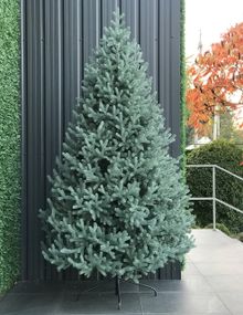 Ёлка Super Traditional литая пышная 220 см голубая
