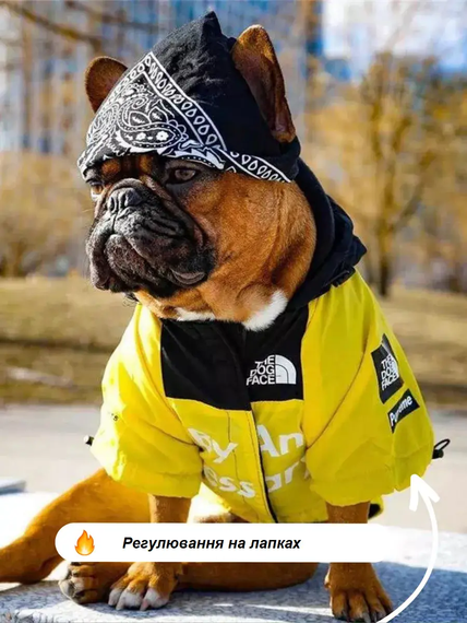 Куртка ветровка з тонкою підкладкою водонепроникна the dog face для собак жовта L розмір | Зображення 1