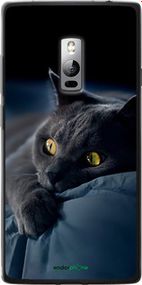 Чохол на OnePlus 2 Димчастий кіт "825u-386-2448"