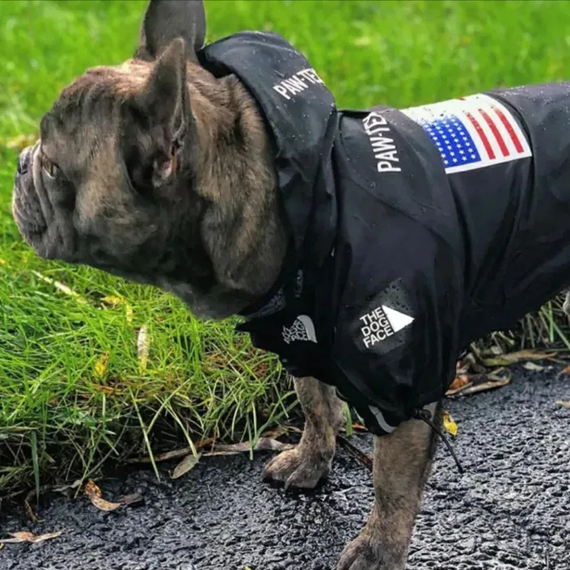 Куртка ветровка с тонкой подкладкой водонепронциаемая the dog face для собак черная S размер | Зображення 7