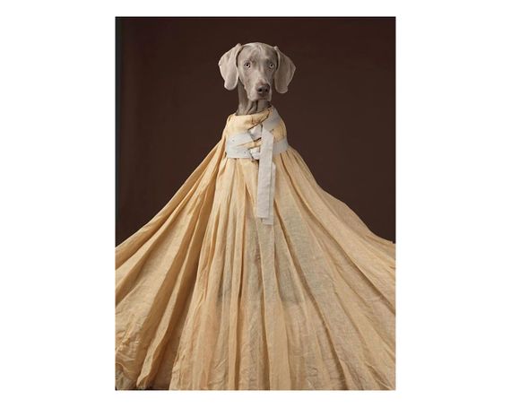 Альбомы известных фотографов книга работ Уильяма Вегмана William Wegman "Being Human" книги по фотографии | Зображення 4