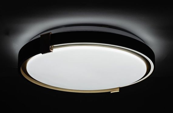 COLISEUM матовий 60W 395*60мм 3000К-6500К з ДК чорне золото | Зображення 4