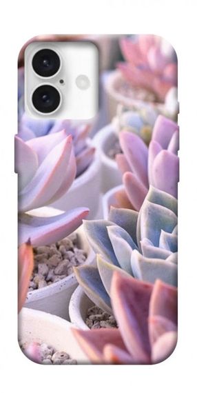 Чохол з картинкою Ехеверія 2 для Apple iPhone 16 Plus