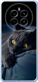 Чохол на Realme 12 4G Димчастий кіт "825u-3785-2448"