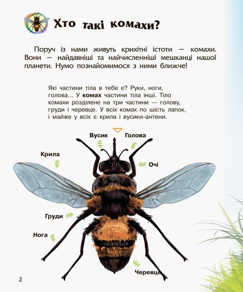 Дитяча енциклопедія про комах 614014 для дошкільнят | Зображення 6