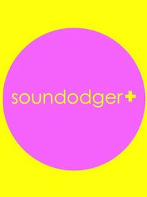 Soundodger+ and Soundtrack Steam Key GLOBAL