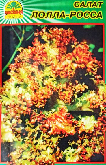 Насіння салату Лолла-роса (Насіння країни) 0,5 г