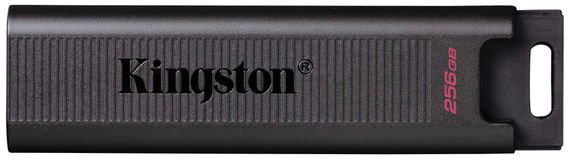 Накопитель Kingston 256GB USB-C 3.2 Gen 1 DT Max (DTMAX/256GB)