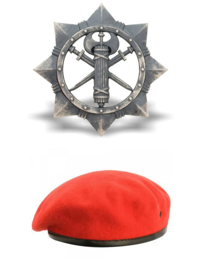 ВСП Берет + кокарда (металл)