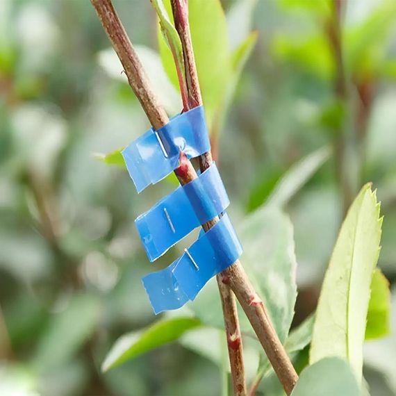 Лента для садового степлера (26м х 11мм), 1шт / Лента для подвязки винограда | Зображення 5